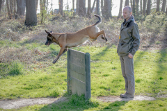 1_20250329-B77I7447-2