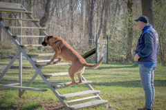 1_20250329-B77I7470-2