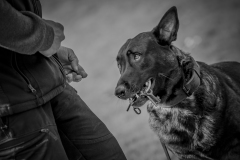 1_20250329-B77I7840-2