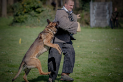 1_20250329-B77I8155-2