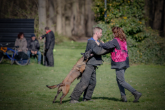 1_20250329-B77I8241-2