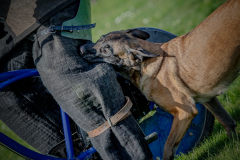 1_20250329-B77I8288-2